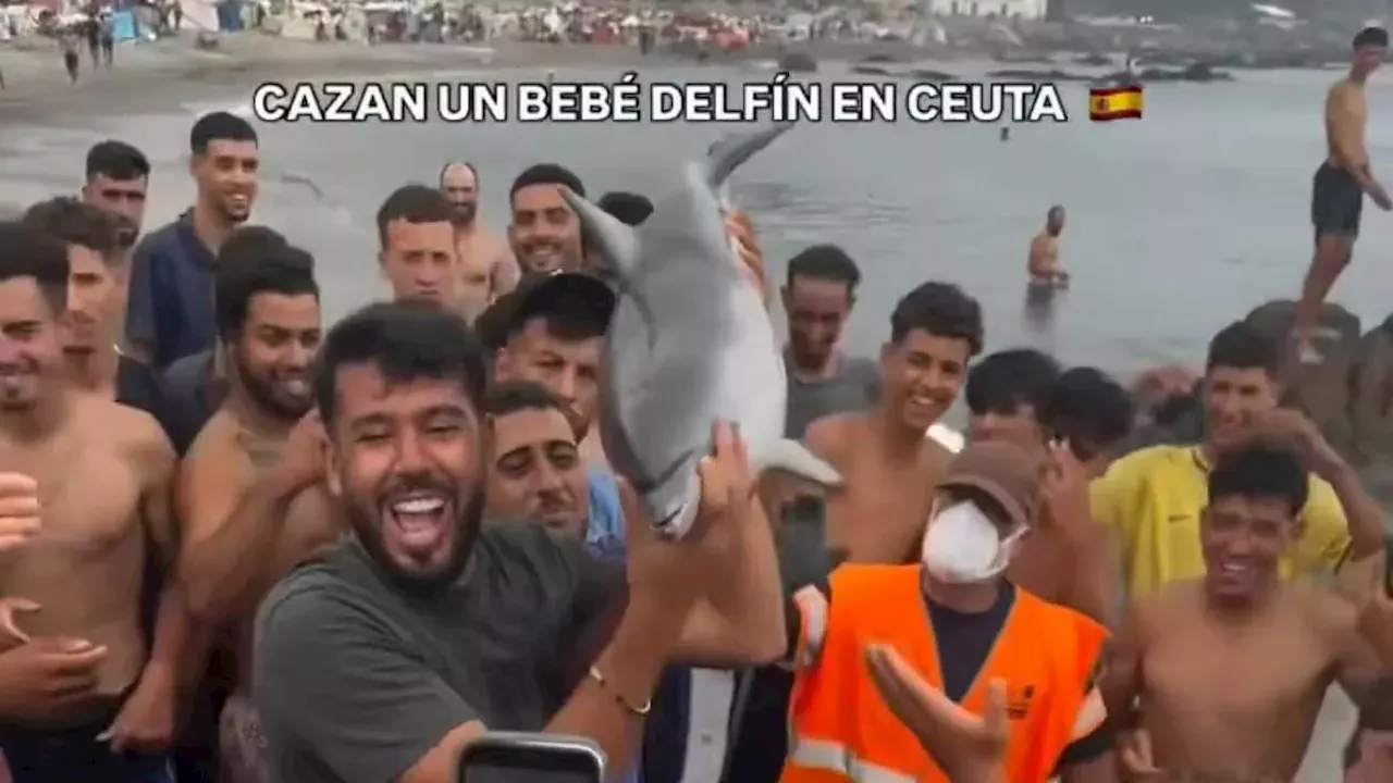 Barricades and Beach Shanty Towns: The Unfolding Crisis in Ceuta