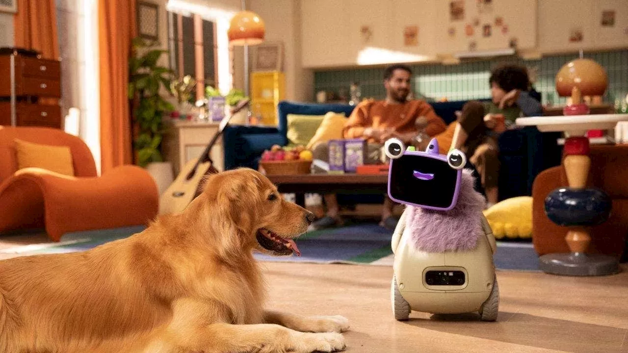 Beyond the Toy Box: The Hidden Biometric Risks of AI Teddy Bears and Selfies