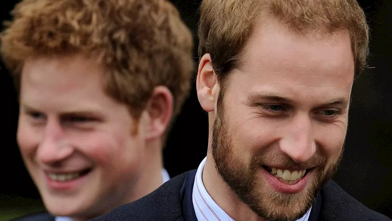 Beyond the Palace Walls: The Human Cost of the William-Harry Rift
