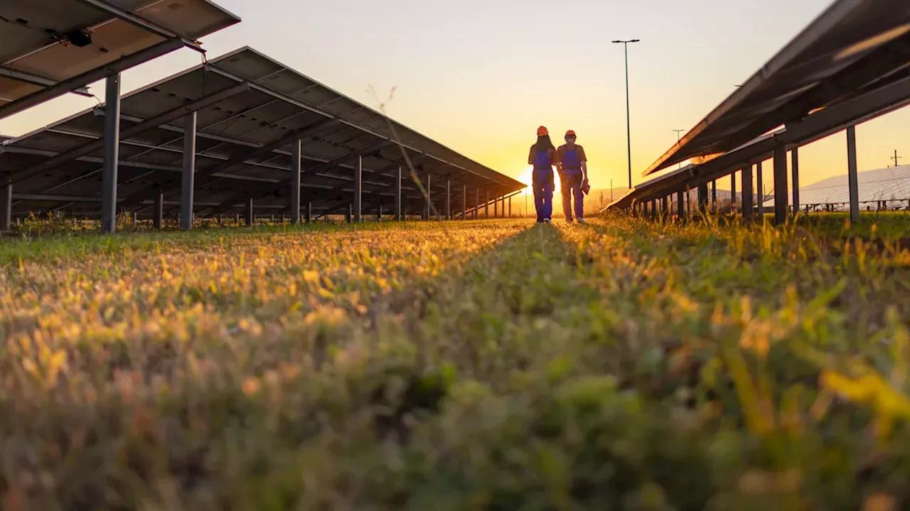 Beyond Fixed Panels: How PHNXX's Mobile Solar is Reshaping Australian Dairy Farming