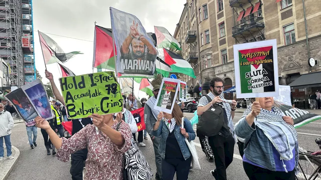 European Streets Erupt: From Paris Marches to Dutch Kite-Flying for Gaza