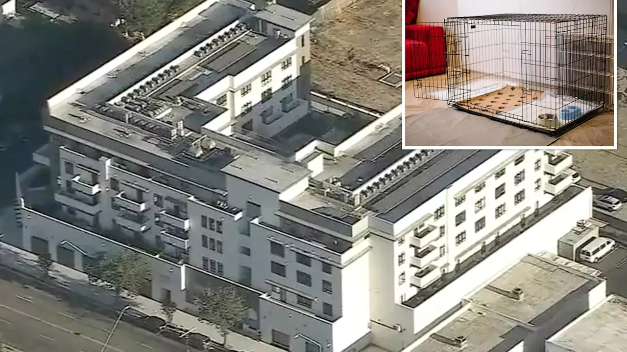 The Lincoln Heights Cage: Felony Charges Filed in Alleged Torture of Three Girls