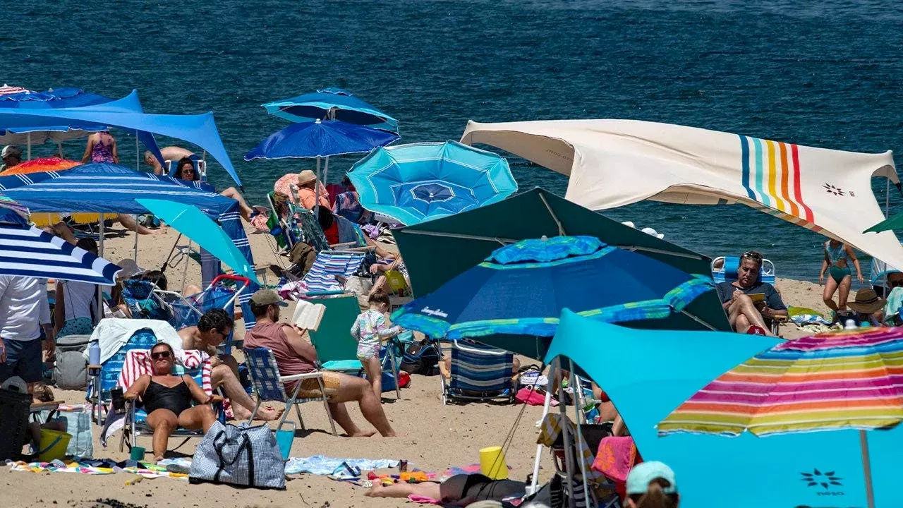 The $2.8 Billion Shark Paradox: How Cape Cod Thrives Amidst Great White Encounters