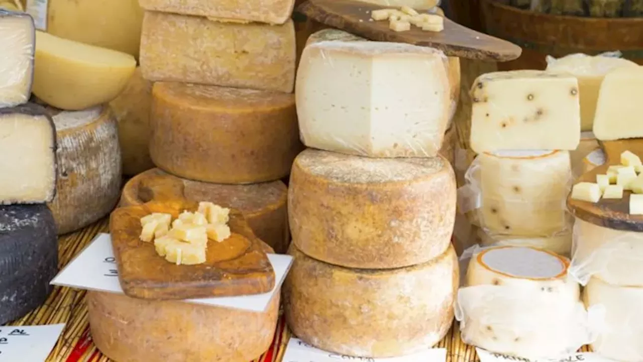 The Melting Point of Terroir: Climate Change vs. France's AOP Cheeses