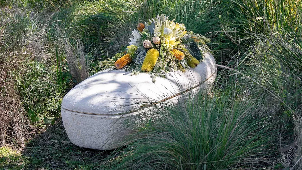 Australia’s First Mycelium Burial: Turning Death into Soil in the Blue Mountains