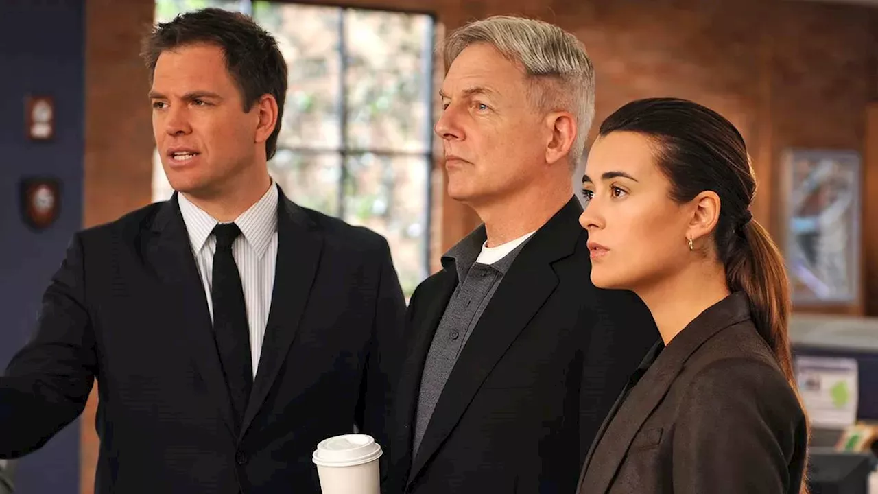 The Post-Gibbs Identity Crisis: Can NCIS Survive Without Mark Harmon?