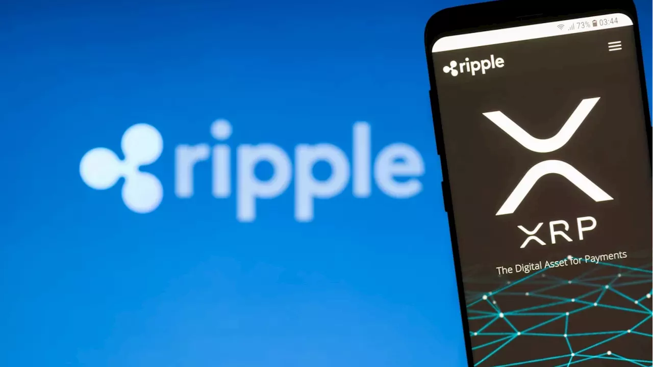The 267,000 XRP Drain: Why Experts Say XRP Healthcare's Failure Was Inevitable