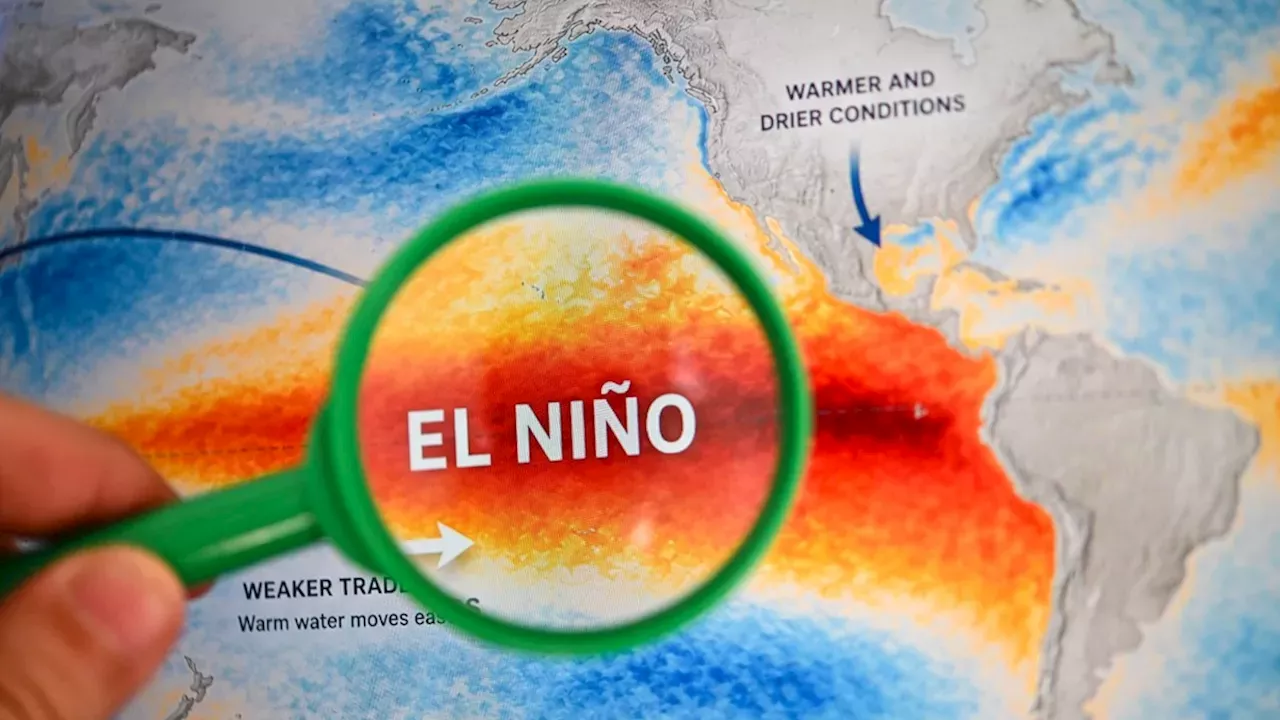 Pacific Heatwave: Scientists Warn of Record-Breaking El Niño Through 2027