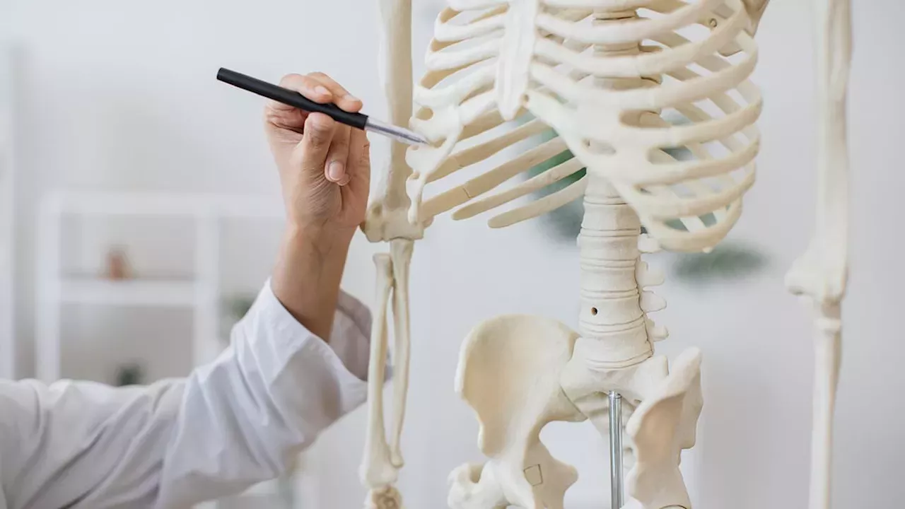 From Cancer Killer to Menopause Ally: The Dual Promise of CADD522