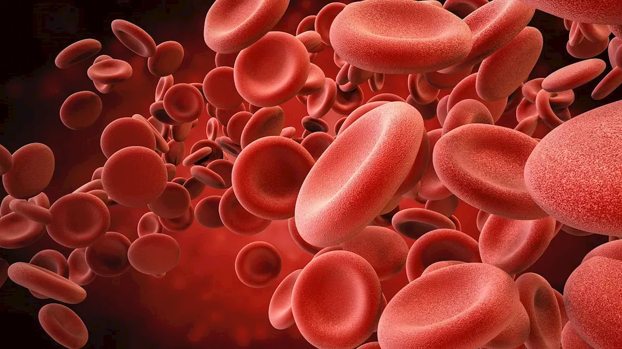 The Invisible Threat: Why 'Normal' Haemoglobin Levels Could Be Masking Disease