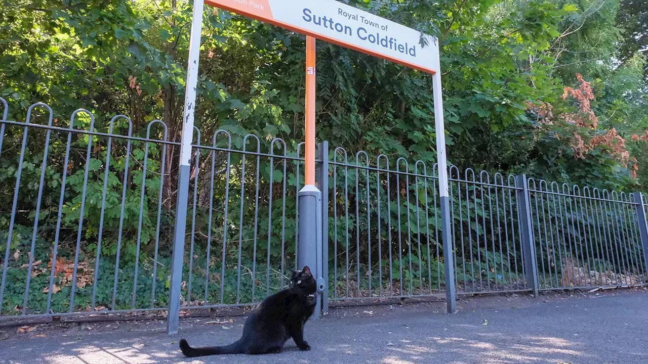 From Stray to Station Staff: Betty the Cat’s Official Promotion at Sutton Coldfield