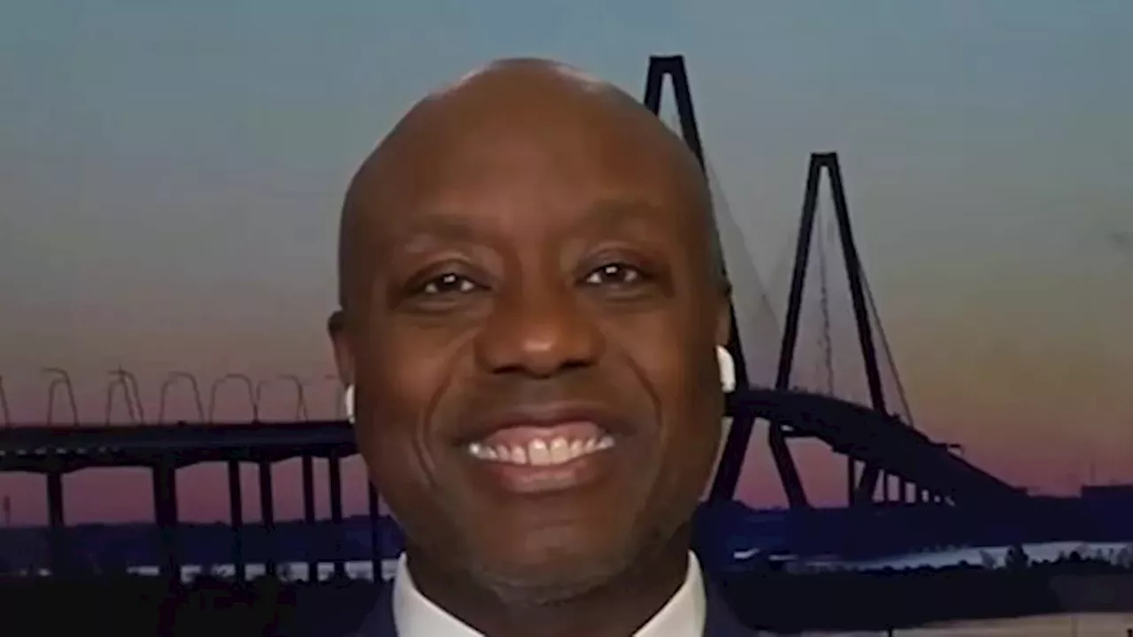 Tim Scott Sounds the Alarm on 'Radical' Democratic Midterm Threats