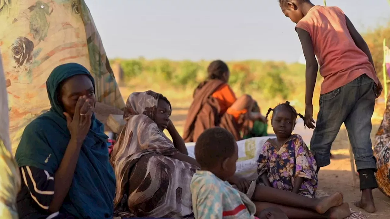 The 'Desert Wolves' Pipeline: How UAE-Backed Mercenaries Fueled Darfur's Bloodshed