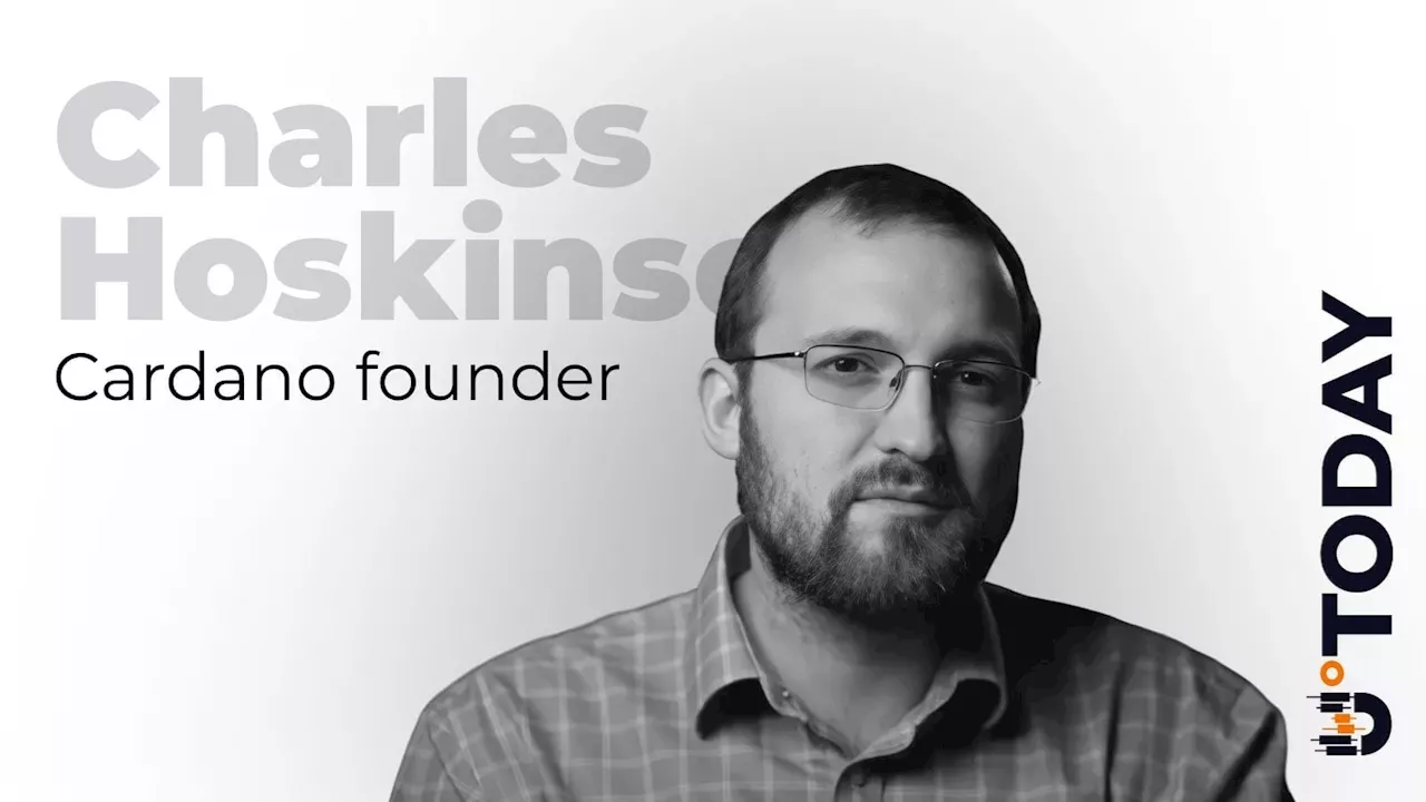 The Navier-Stokes AI Claim: Why Charles Hoskinson is Calling for Private Research