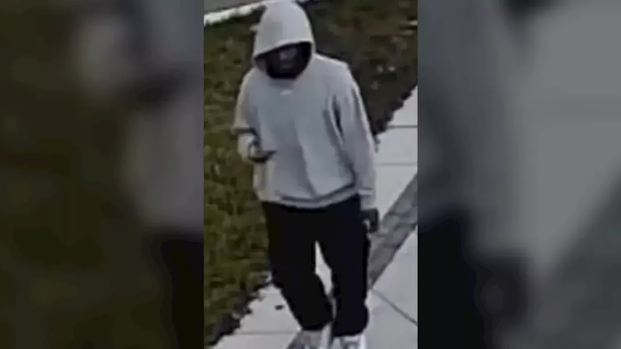 Richmond Hill Home Invasion: Four Charged as Police Hunt Fifth Suspect