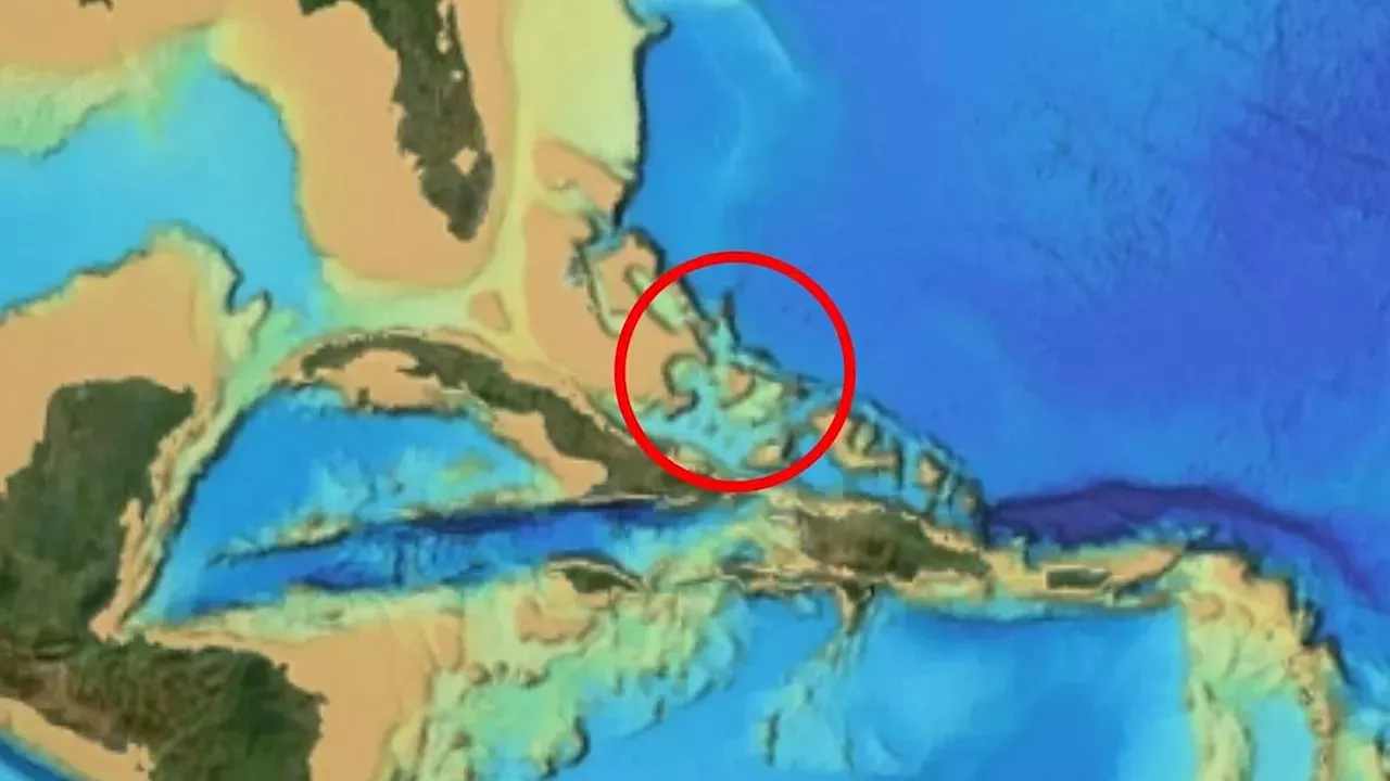 Mysterious Seafloor Patterns Near Bermuda Triangle Spark 'Sunken City' Claims