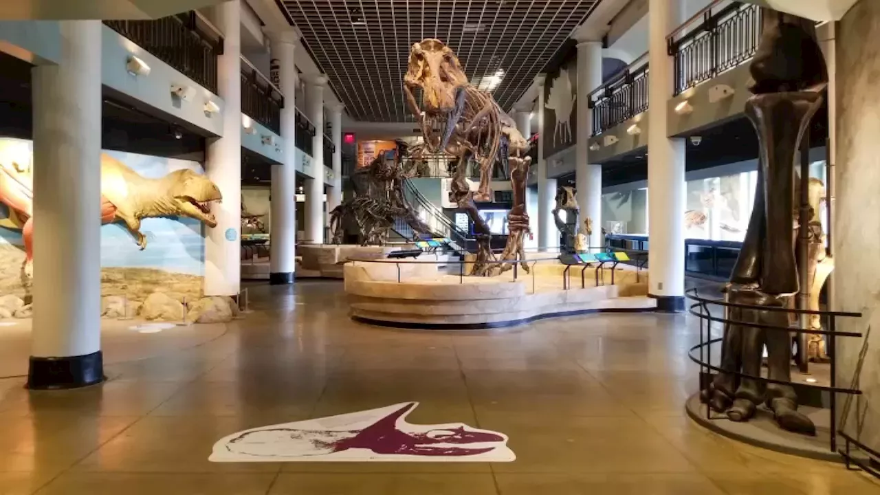Philadelphia Activists Rally to Save Drexel’s 216-Year-Old Natural Science Museum