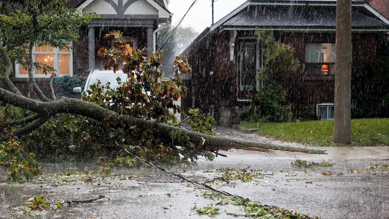 Toronto's Post-Storm Struggle: 4,700 Service Requests Still Pending