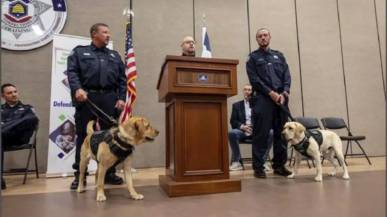 Utah Introduces Specialized K‑9s to Detect Hidden Electronics in Probation Visits