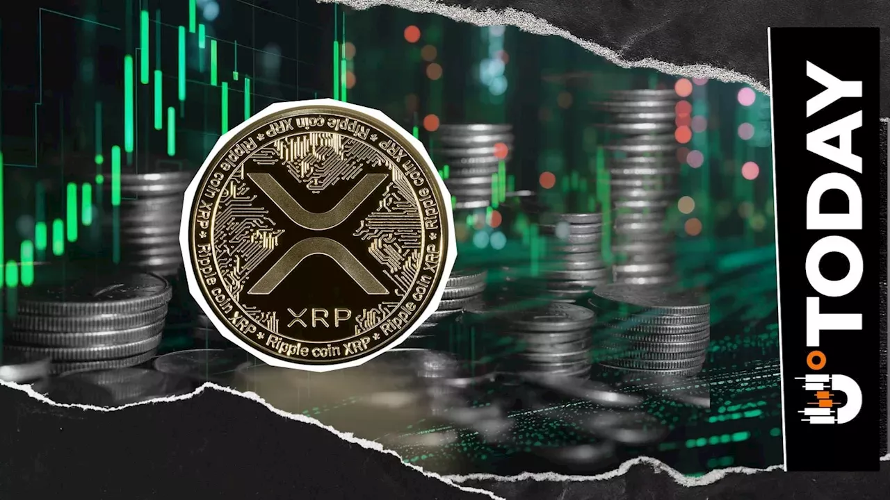 XRP Derivatives Surge: Binance Leads $3.1 Billion Open Interest Spike