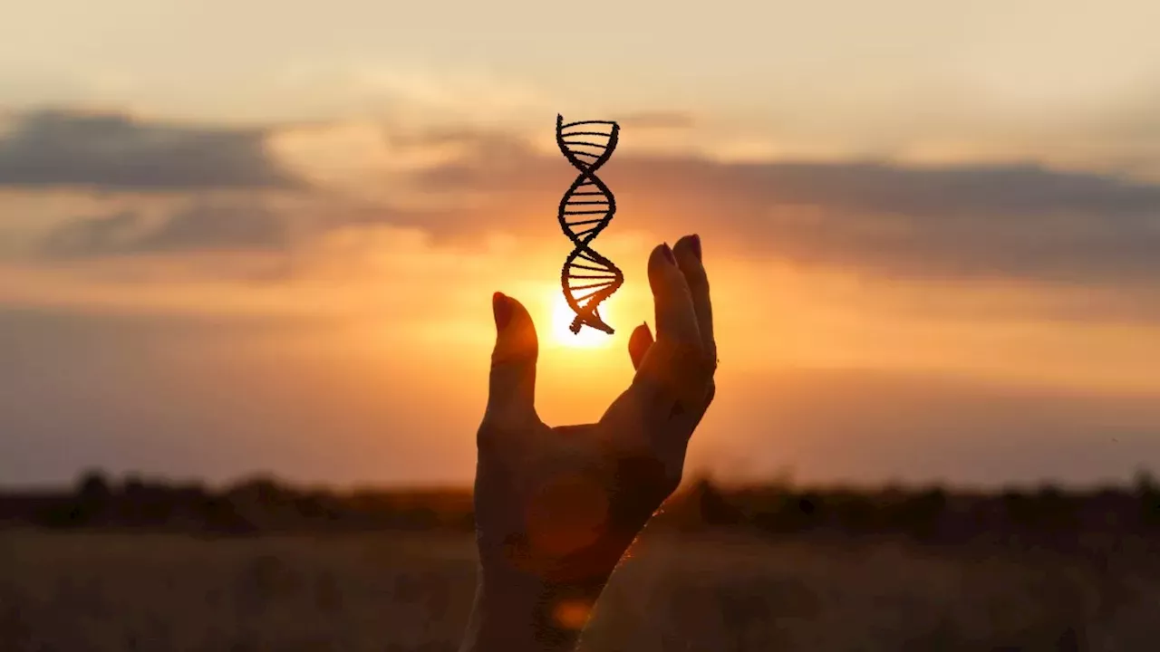 The Genetic Blueprint of Hospital Stays: How Neuroticism Impacts Recovery