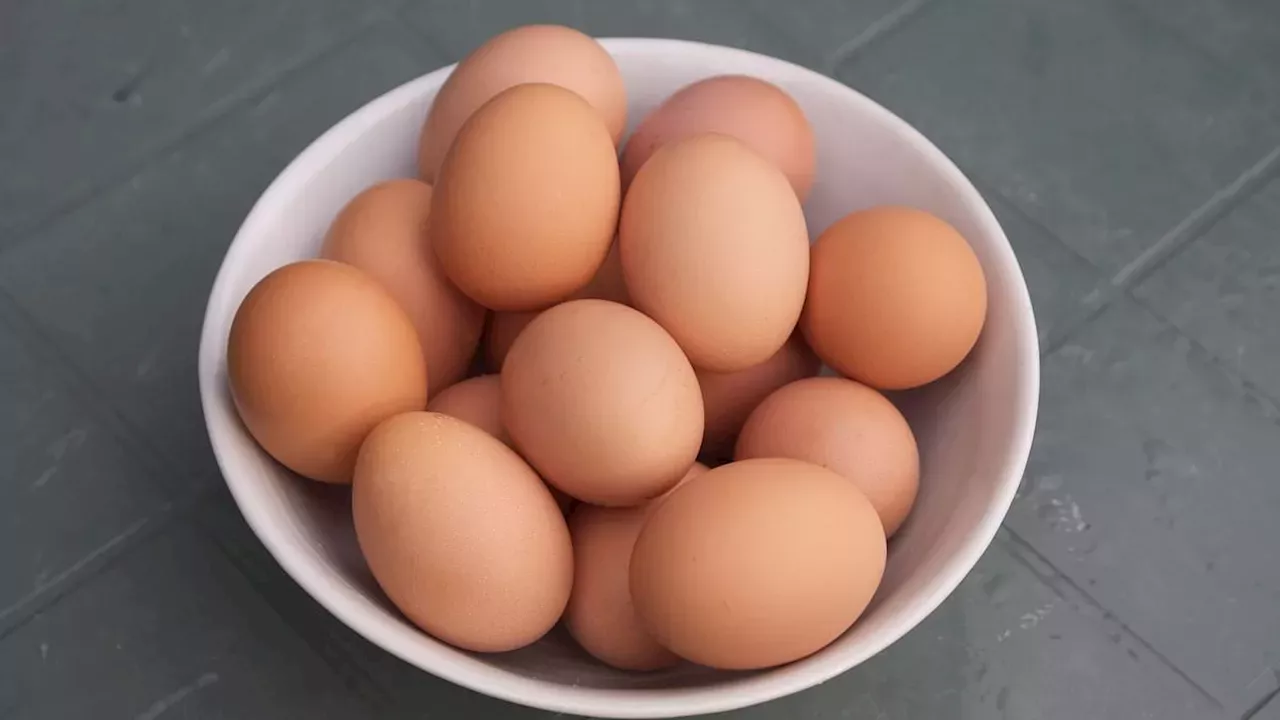 Imported Eggs Linked to Surge in Salmonella Infections Across the UK