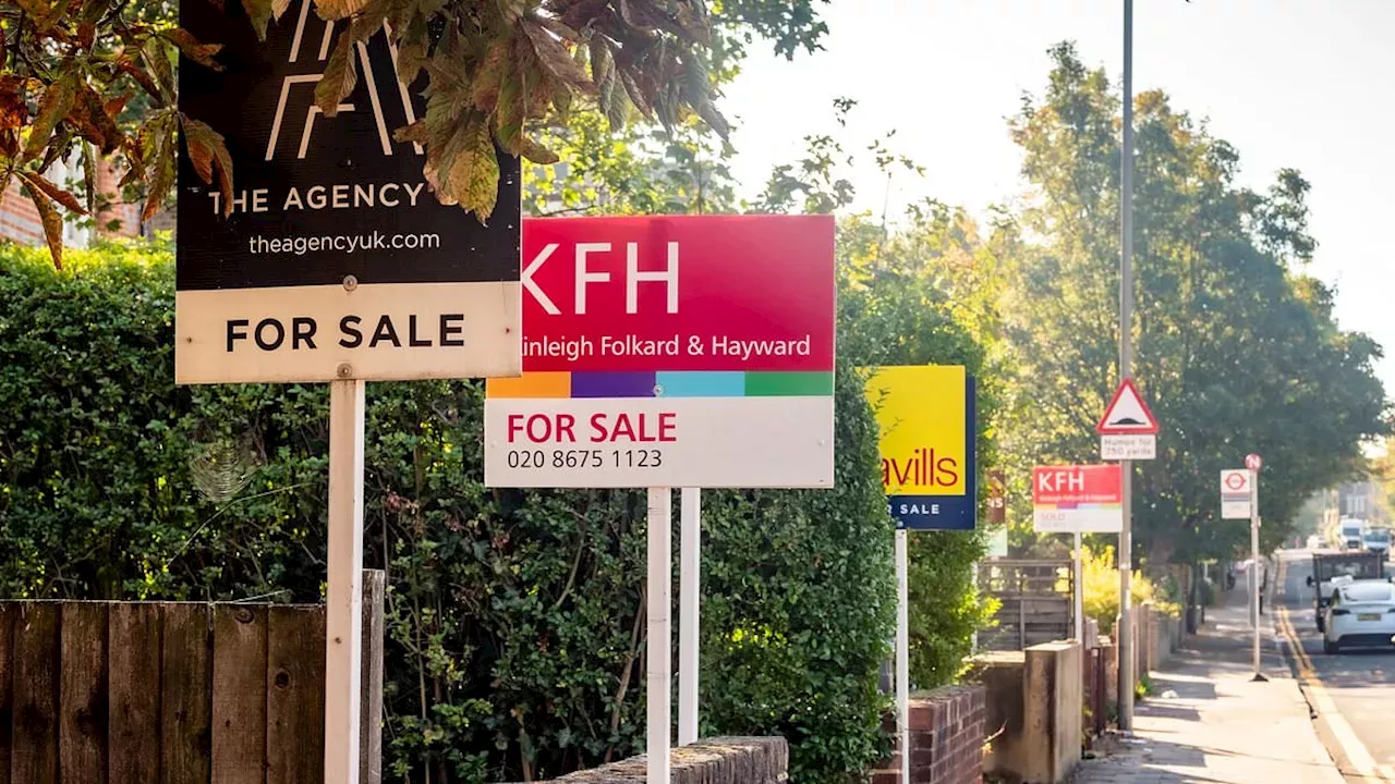 The September Spike: Decoding Rightmove’s 5% Surge in Property Interest