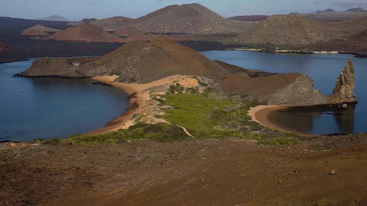 Super El Nino: A Global Threat to Galapagos Wildlife and Canadian Safety