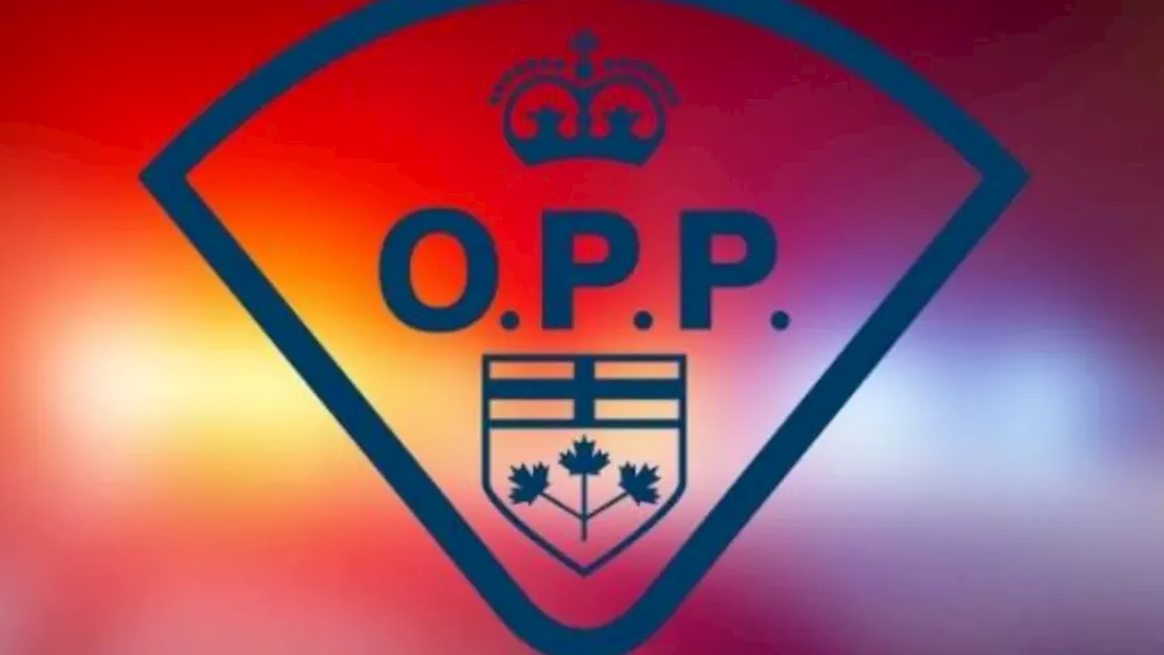 The Ghost Policy Scam: Mississauga Man Charged in Two-Year Insurance Fraud