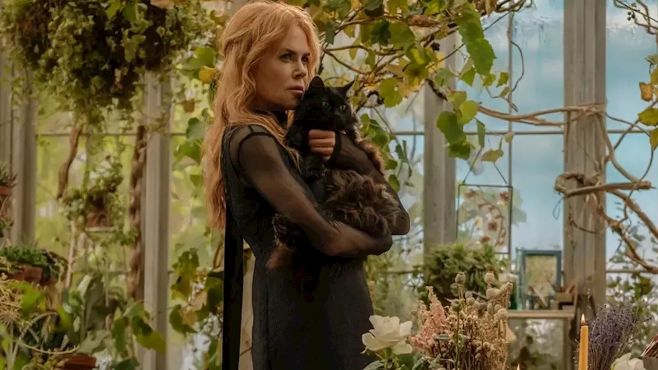 The Digital Resurrection: How Social Media Forced a 'Practical Magic' Sequel