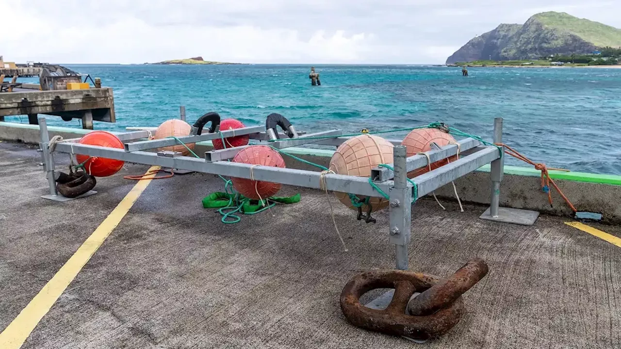 Hawaii's New Wave: SURF-WEC Opens the Books on Marine Energy