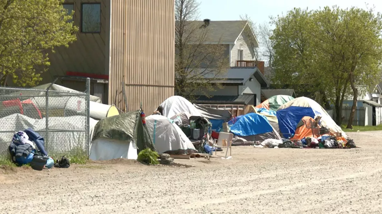 Northern Ontario's Housing Crisis: Cochrane District Hits Province-High Homelessness Rate