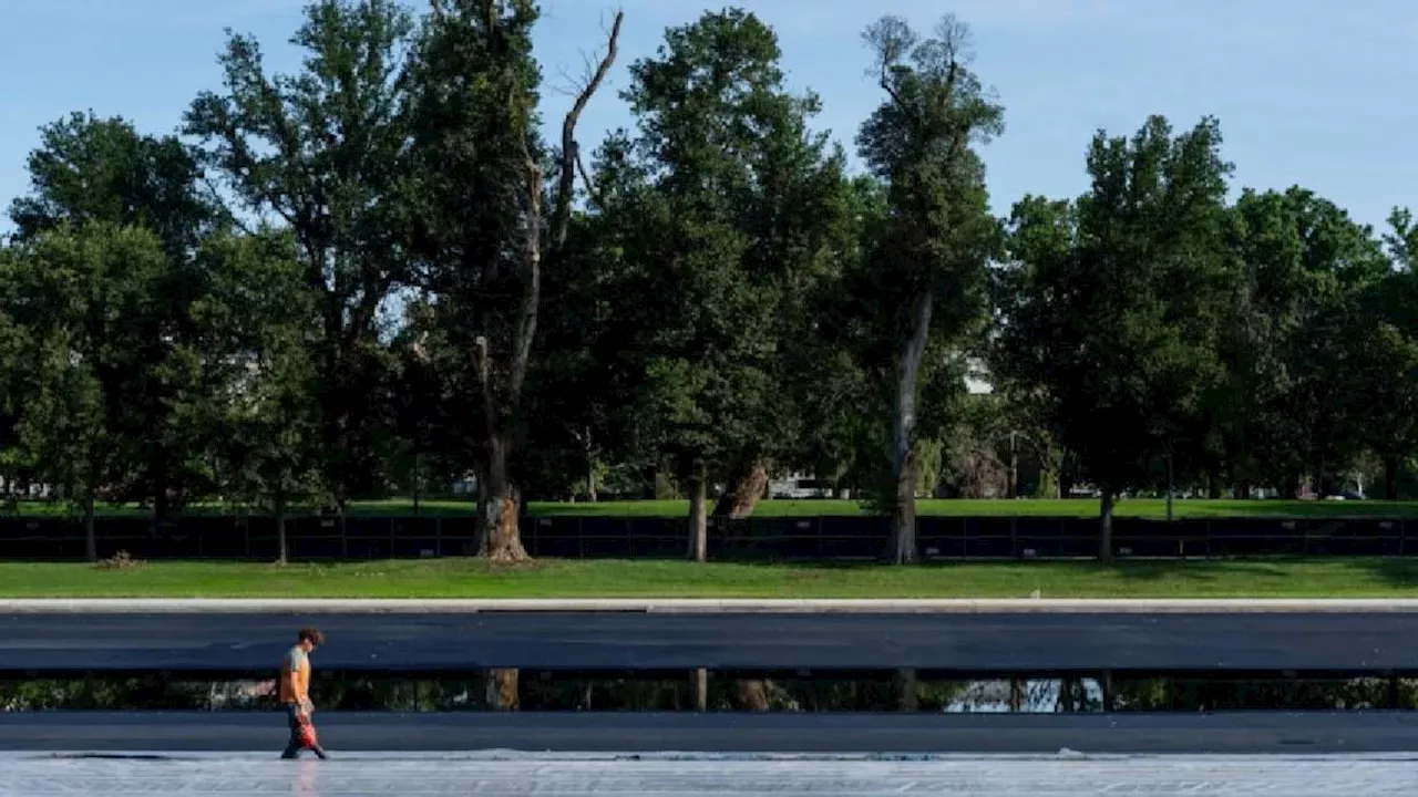 Rushed Restoration, Wrongful Accusations: The Lincoln Memorial Pool Disaster