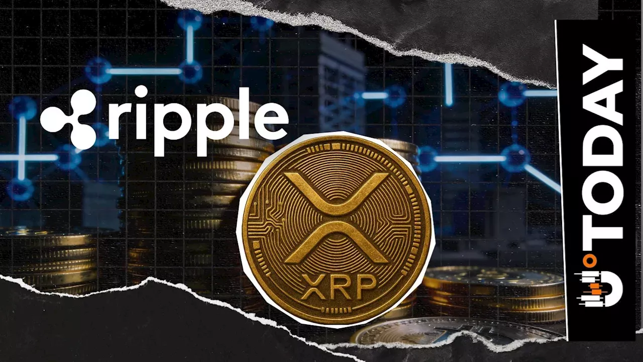 XRPL's New Institutional Credit Engine: Moving Beyond Over-Collateralization