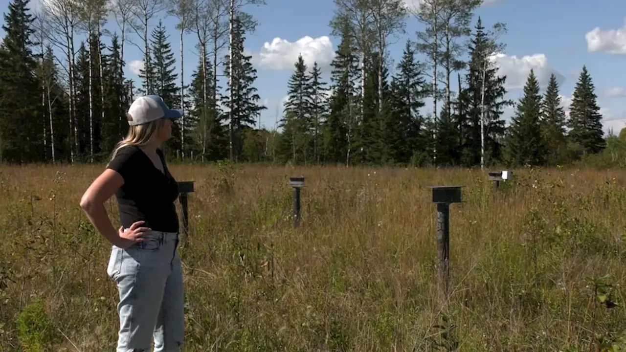 Alberta's Orphan Well Crisis: Landowners Sue Over $1.66 Billion Cleanup Gap