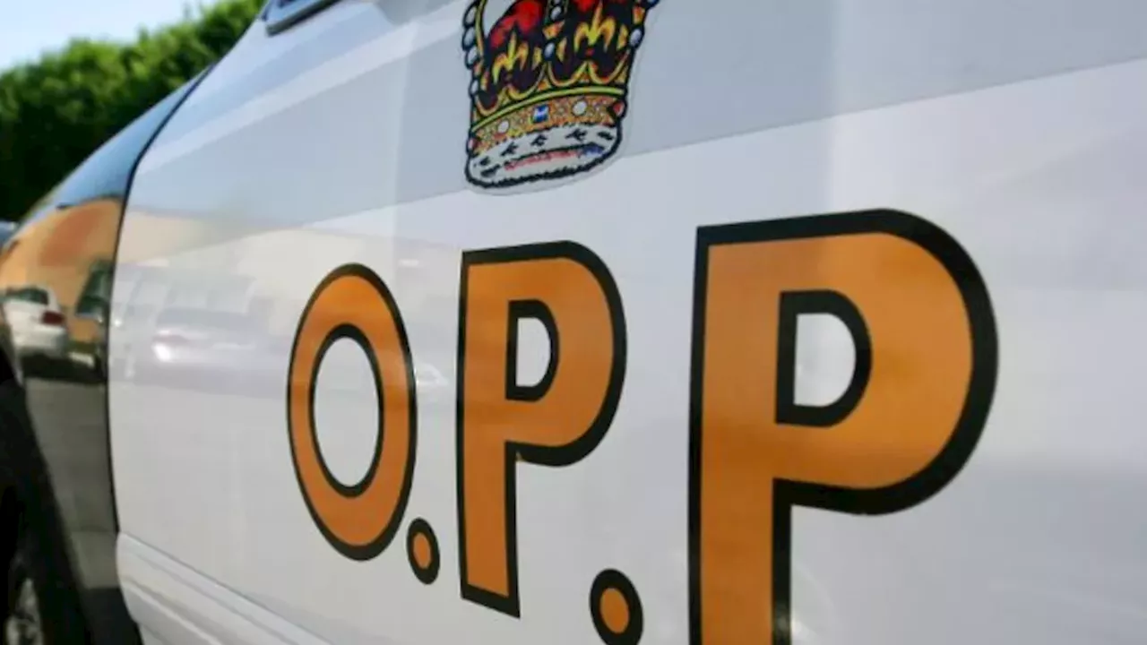 Mystery in Mississippi Mills: OPP Investigating Body Found in Vehicle Fire