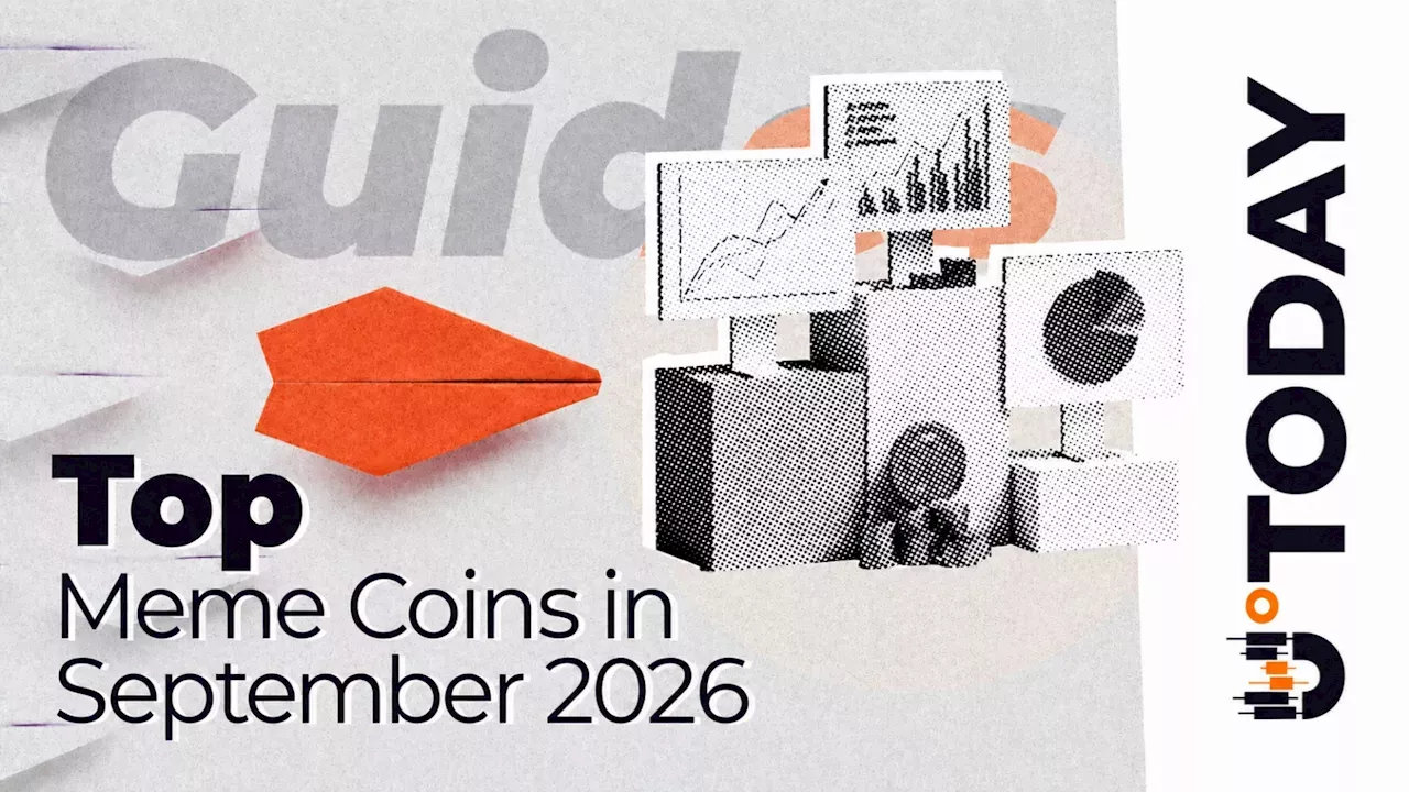 From Internet Jokes to a $48 Billion Market: The Rise of Meme Coins