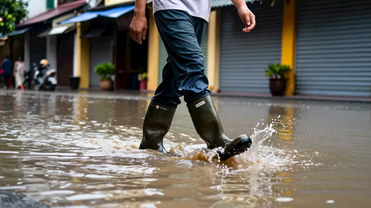 Vietnam's Low-Pressure Surge: Extreme Rainfall Migrates North