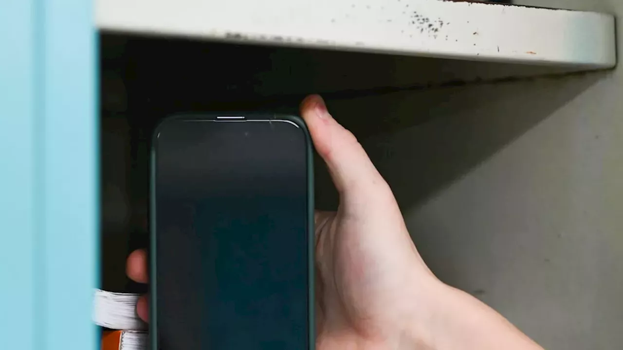 Beyond the Screen: The Social Cost of Quebec's School Phone Ban