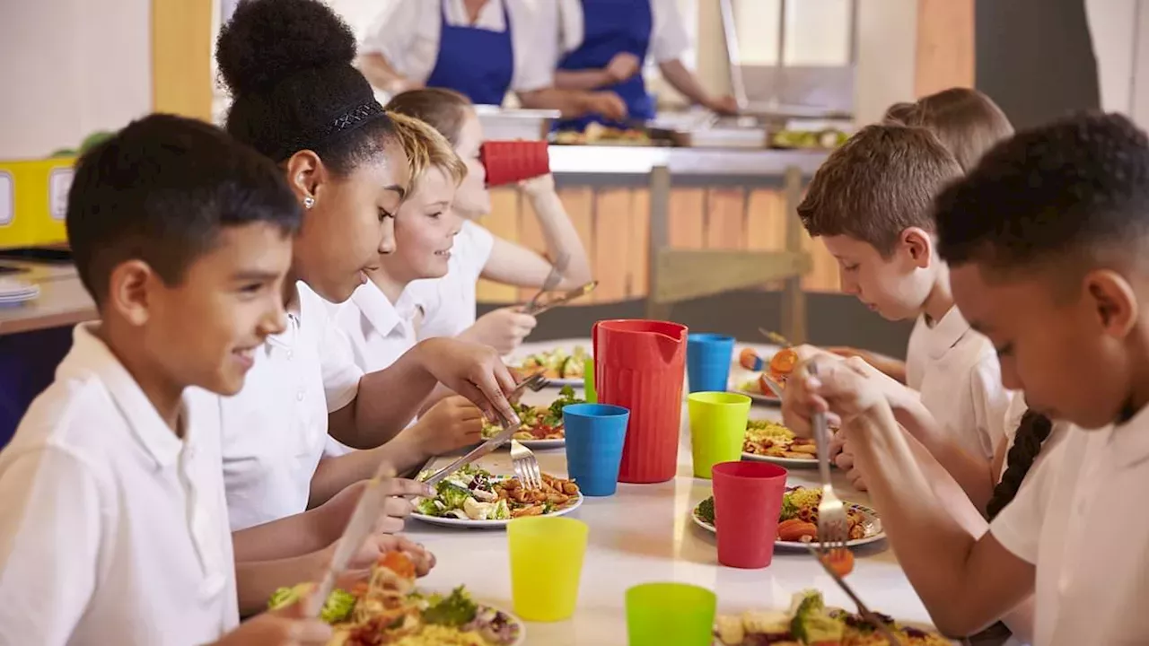 UK Schools to Ban Deep-Fried Foods in New Anti-Obesity Drive