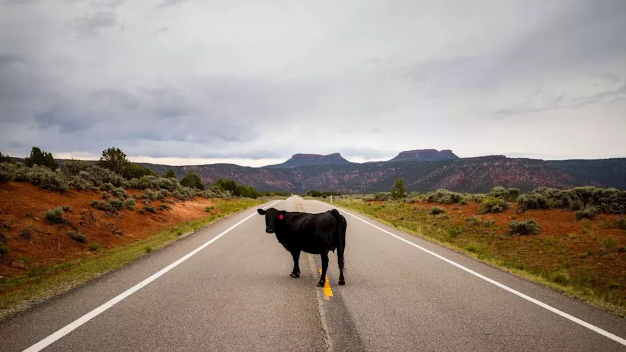 The Battle for Bears Ears: Lawsuit Challenges Trump's 91% Land Cut