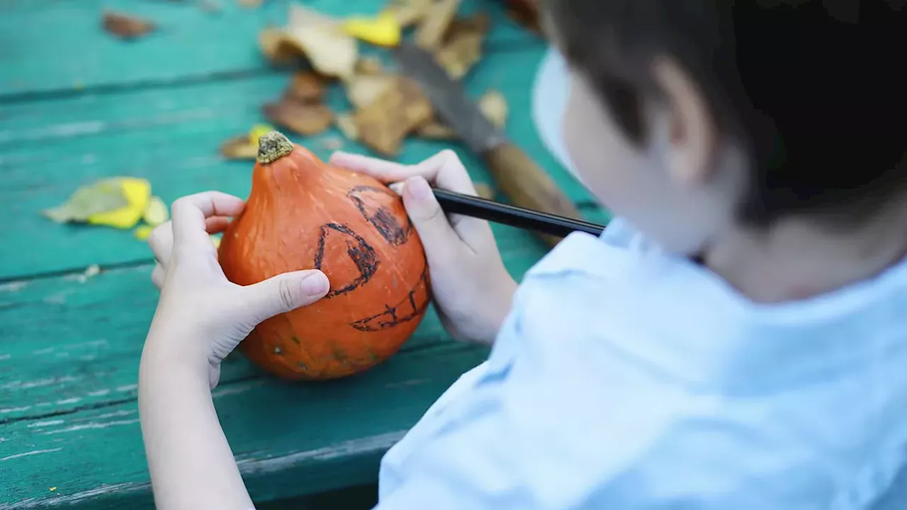 Small Pumpkins, Big Warning: Britain's Climate Crisis Hits Halloween