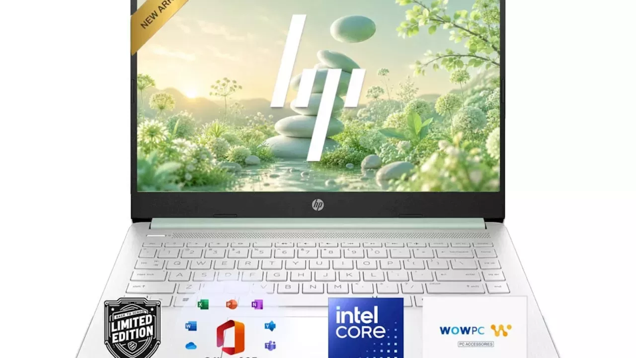 HP’s $300 Laptop Deal: A Prime Big Deal Bargain or a Performance Compromise?