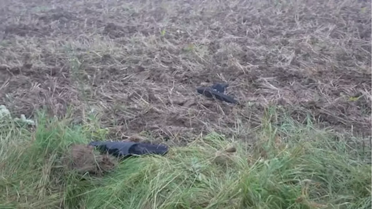 NATO's Baltic Shield: Italian Jet Downs Mysterious Drone Near Belarus Border