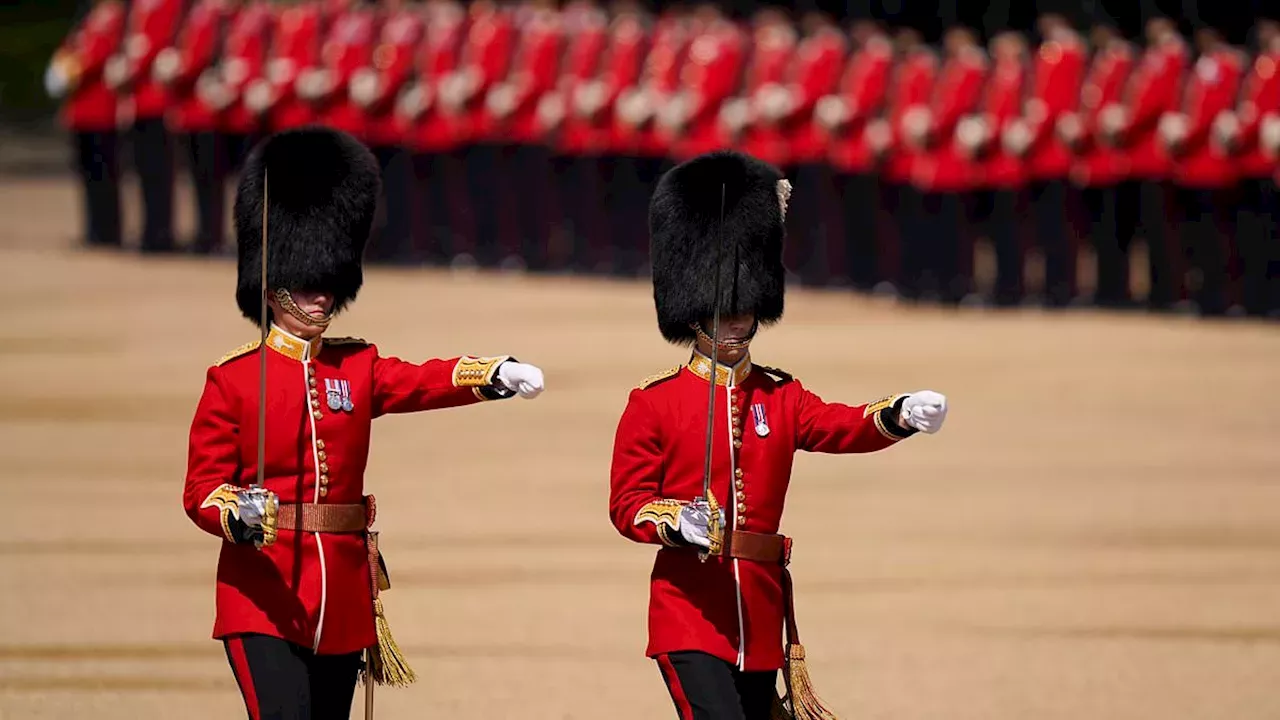 Tradition vs. Ethics: The Fight to End Bearskin Caps at Buckingham Palace