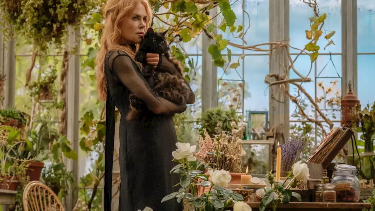 Nostalgia Over Superheroes: 'Practical Magic 2' Seizes Box Office Crown