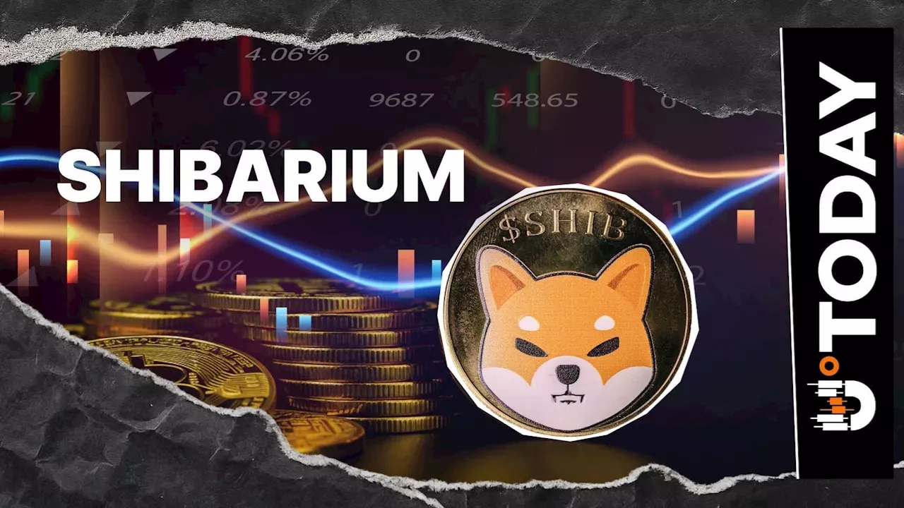 Shibarium's Technical Debt Cleared as PR #8699 Restores Network Connectivity