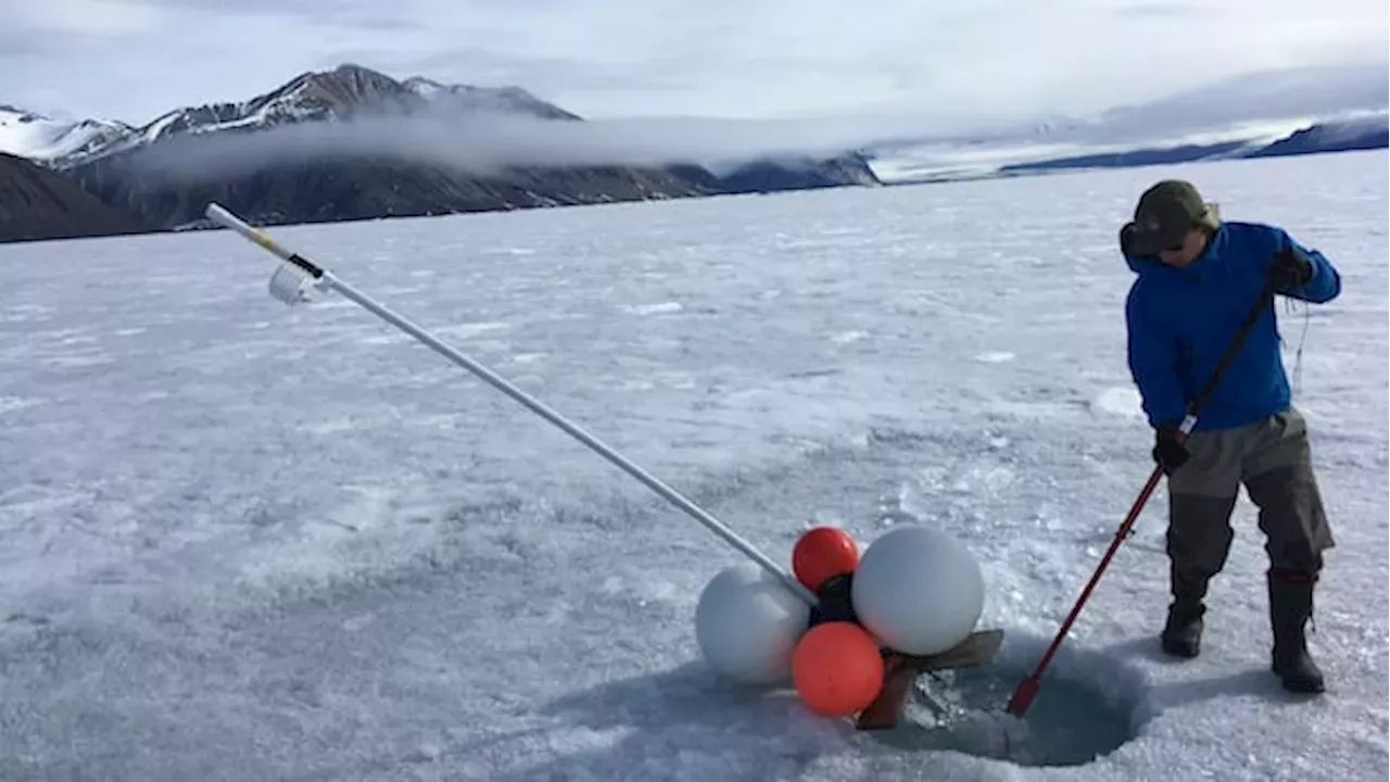 The End of a 4,000-Year Arctic Miracle: Canada's Last Epishelf Lake
