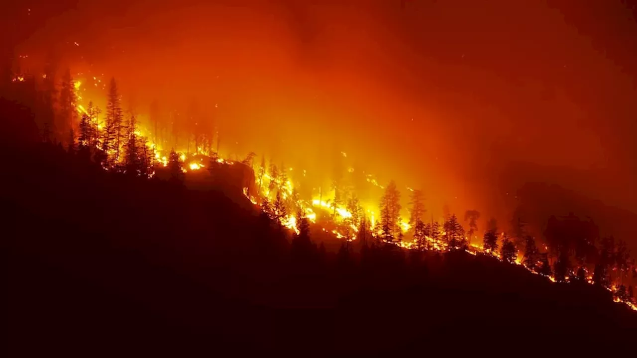 Kelowna and Okanagan College Partner to Investigate New Wildfire Defense Tools
