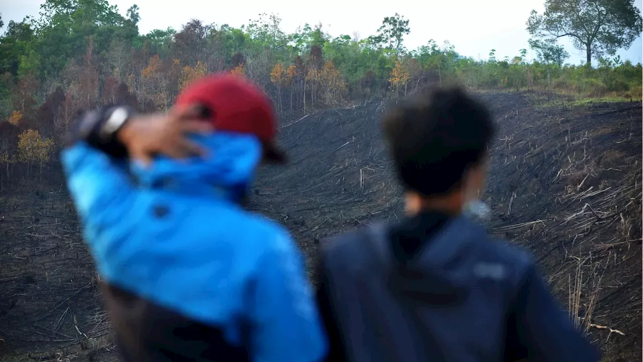 The Blood Cost of Palm Oil: Indonesia's Dayak Communities Under Siege